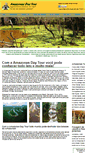 Mobile Screenshot of amazonasdaytour.com
